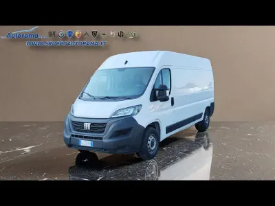 Usata Fiat Ducato