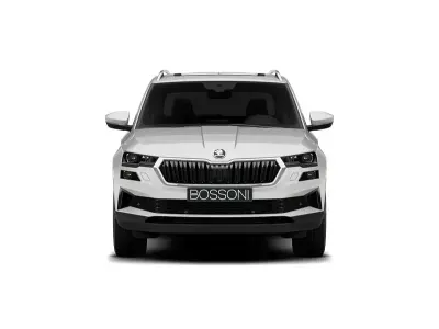 Occasion Skoda Karoq Executive 150 ch (110 kW) 2025 Blanc SUV