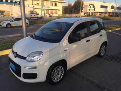 usata Fiat Panda 1.2 Easy