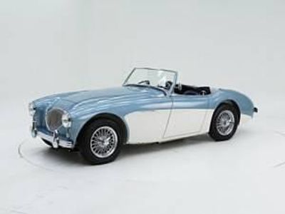 Usata Austin Healey 100 90 CV (66 kW) 1954 Altri Cabrio