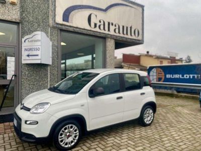 Usata Fiat Panda S 69 CV (50 kW) 2023 Grigio Utilitaria