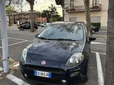 Usata Fiat Punto Evo