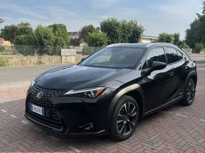 Usata Lexus UX 250h
