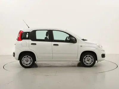 Usado Fiat Panda Easy 69 CV (50 kW) 2019 Utilitario