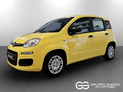 Nuova Fiat Panda Icon 65 CV (47 kW) 2026 Giallo positano pastello Utilitaria