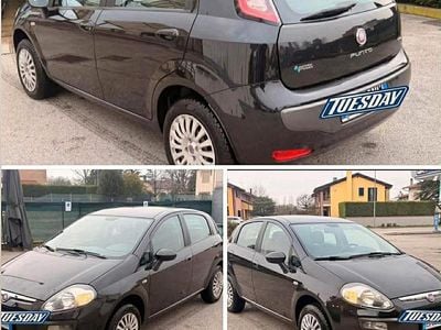 Usata Fiat Punto Evo Emotion 95 CV (69 kW) 2012 Utilitaria