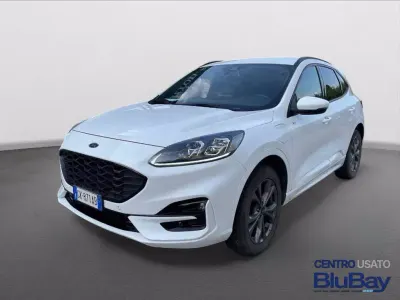 Usata Ford Kuga ST-Line X 225 CV (165 kW) 2022 Frozen white SUV