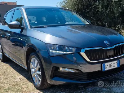 Usata Skoda Scala Sport 116 CV (85 kW) 2020 Verde Utilitaria