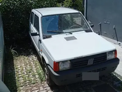 Usata Fiat Panda