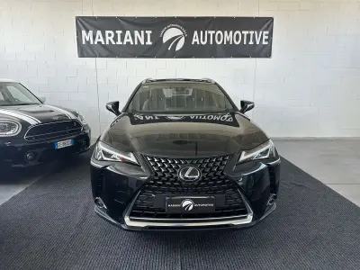 Usata Lexus UX 250h