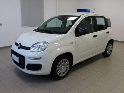 Nuova Fiat Panda Icon 69 CV (50 kW) 2025 Bianco Berlina