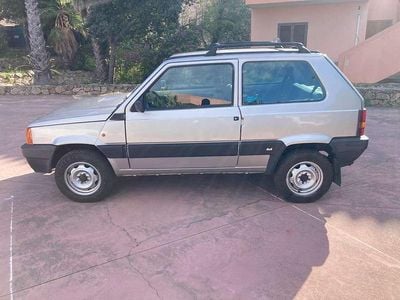 Usata Fiat Panda 4x4 Trekking 54 CV (39 kW) 1999 Argento Utilitaria