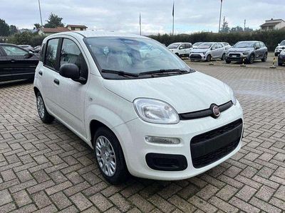 Nuova Fiat Panda Icon 70 CV (51 kW) 2025 Bianco Utilitaria