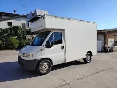 Usata Fiat Ducato 64 kW (88 CV) 1999 Bianco Furgone