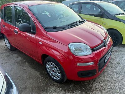 Usata Fiat Panda Easy 69 CV (50 kW) 2019 Rosso Utilitaria