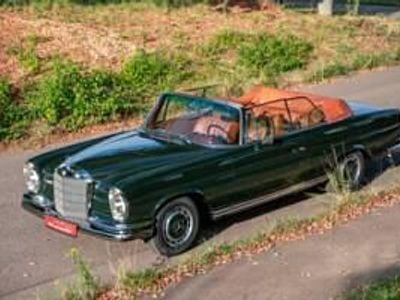 Usata Mercedes 250 SE 231 CV (169 kW) 1967 Verde Cabrio