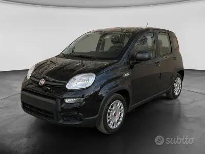 Usata Fiat Panda