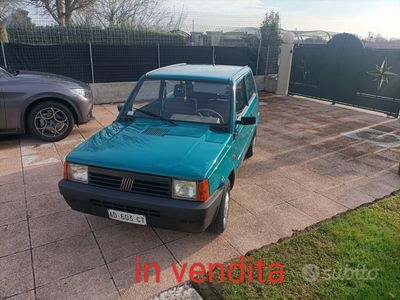 usata Fiat Panda 900 i.e. cat Young