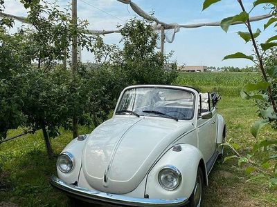 Usata VW Beetle Cabriolet 1970 Bianco Cabrio