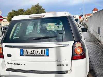 Usata Land Rover Freelander 2 S 190 CV (139 kW) 2014 Bianco SUV