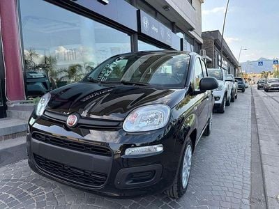Usata Fiat Panda