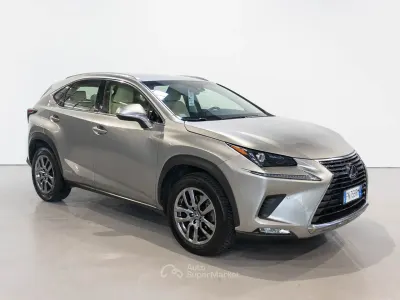 Usata Lexus NX300h Luxury Line 199 CV (146 kW) 2018 Gray SUV