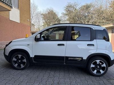Usata Fiat Panda Cross Cross 69 CV (50 kW) 2024 Utilitaria