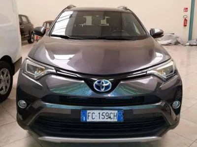 Usata Toyota RAV4 Hybrid Business Edition 155 CV (114 kW) 2016 Grigio SUV