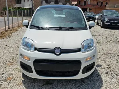 Usata Fiat Panda Lounge 75 CV (55 kW) 2012 Bianco Utilitaria
