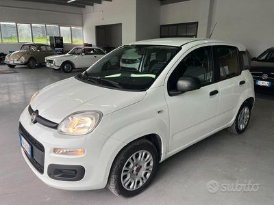 Usata Fiat Panda Easy 69 CV (50 kW) 2018 Bianco Utilitaria