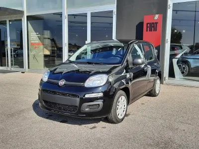 Usata Fiat Panda Icon 70 CV (51 kW) 2025 Nero Utilitaria