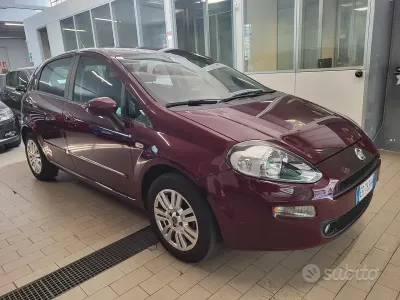 Usata Fiat Punto Pop 77 CV (56 kW) 2013 Lilla Utilitaria