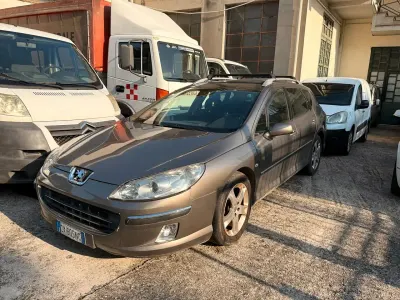 Usata Peugeot 407