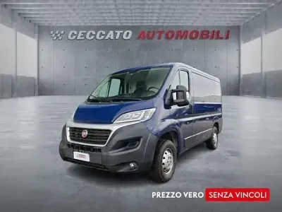 Usata Fiat Ducato 116 CV (85 kW) 2019 Blu Furgone