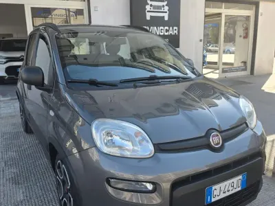 Usata Fiat Panda City Life 70 CV (51 kW) 2022 Grigio Utilitaria