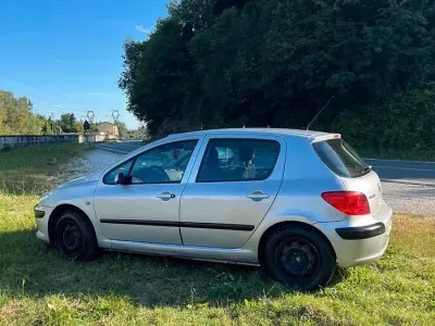 Usata Peugeot 307