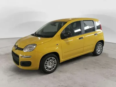 Nuova Fiat Panda Icon 69 CV (50 kW) 2025 Giallo Utilitaria