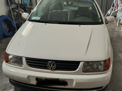 VW Polo