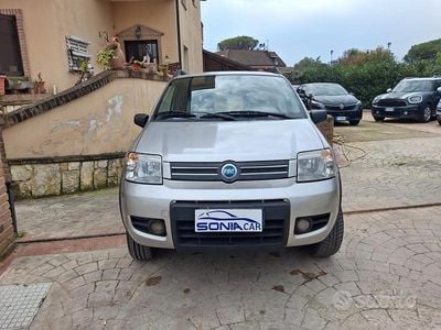 Usata Fiat Panda 4x4 Climbing 69 CV (50 kW) 2006 Grigio Utilitaria