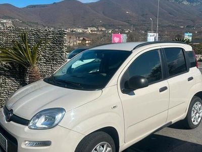 Usata Fiat Panda 70 CV (51 kW) 2013 Bianco Utilitaria