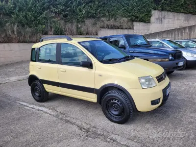 Usata Fiat Panda 4x4