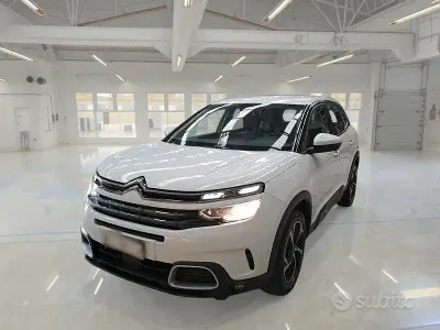 Usata Citroën C5 Aircross Business Class 130 CV (95 kW) 2020 Bianco SUV