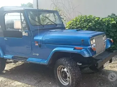 Usata Jeep Wrangler 103 CV (75 kW) 1991 Blu SUV