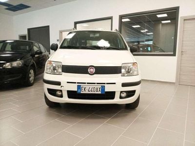 Usata Fiat Panda Dynamic 77 CV (56 kW) 2012 Bianco Utilitaria