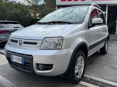 Usata Fiat Panda 4x4 Climbing 75 CV (55 kW) 2011 Argento Utilitaria