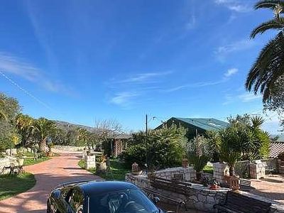 Usata Audi R8 Coupé Performance 610 CV (448 kW) 2017 Coupé