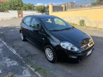 Usata Fiat Punto Evo Active 75 CV (55 kW) 2012 Nero Utilitaria