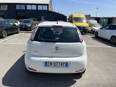 Usata Fiat Punto Evo Dynamic 69 CV (50 kW) 2012 Utilitaria
