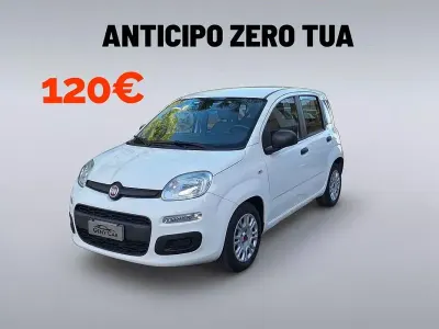 Usata Fiat Panda Easy 69 CV (50 kW) 2018 Bianco Utilitaria