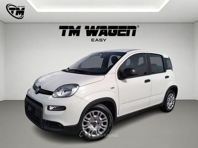 Usata Fiat Panda S 69 CV (50 kW) 2023 Nero Utilitaria
